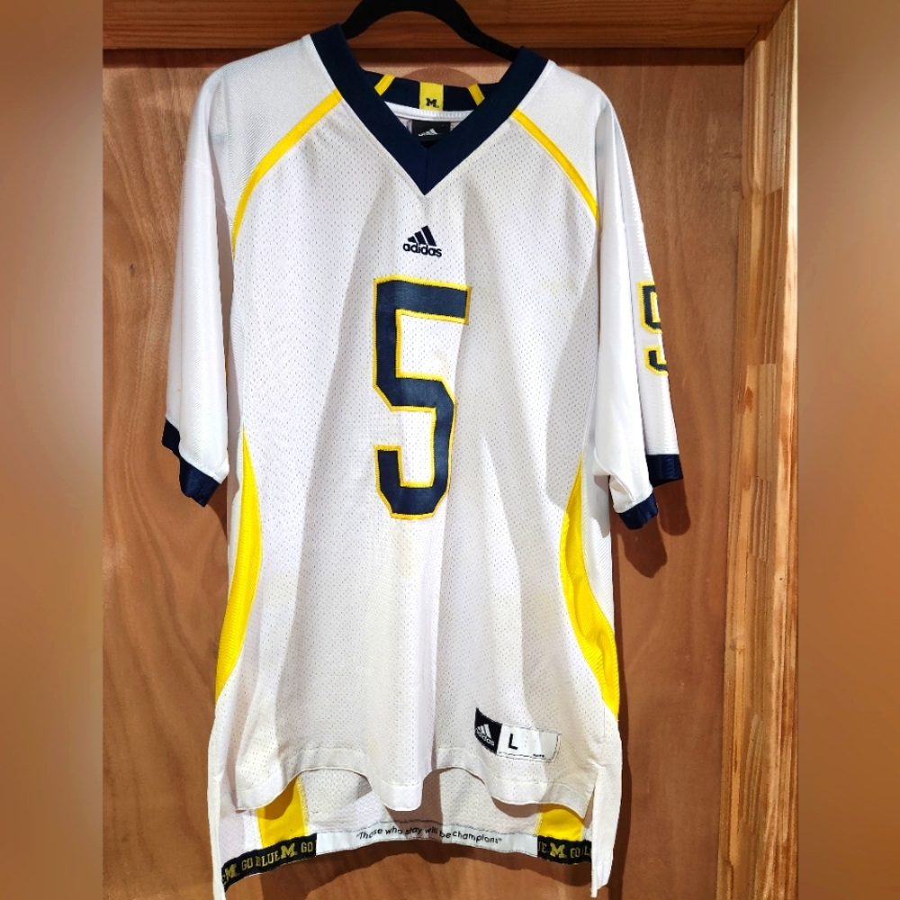 University of Michigan jersey
